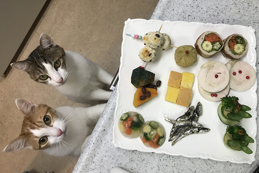 昨年末、愛犬・愛猫のお節料理講座を開催した時の試作品【写真提供：五月女圭紀】