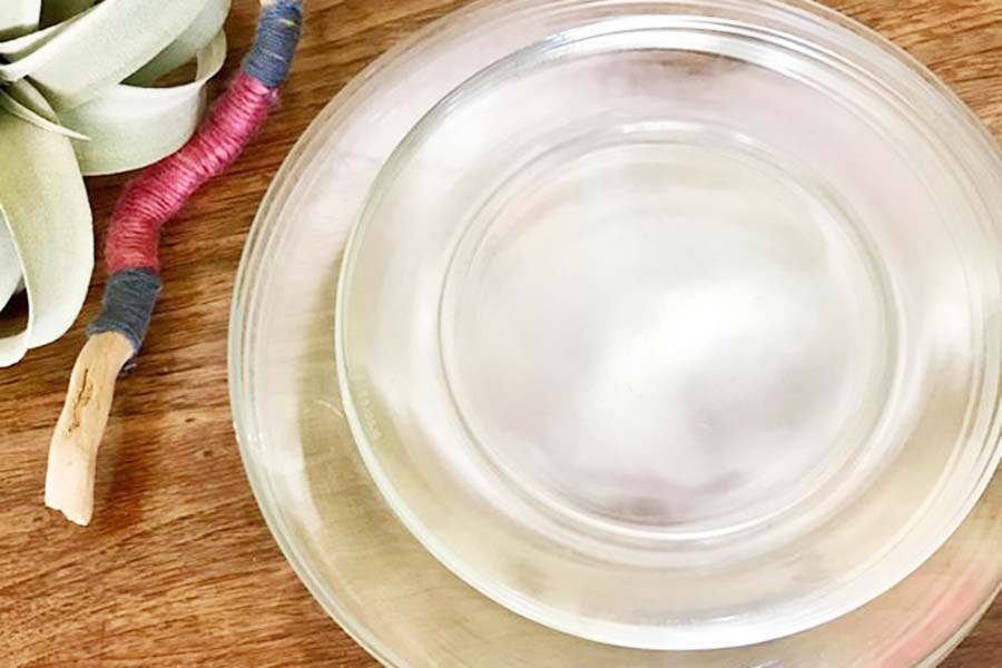 勢子さんが「普段使い」として、重宝している透明皿。大小サイズを揃えるとより便利に【写真：小田島勢子】