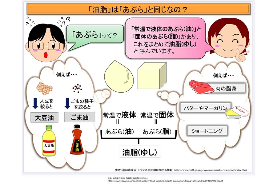 イラスト 脂と油って違う 油脂とは 脂質と健康との関係も解説 2枚 Hint Pot