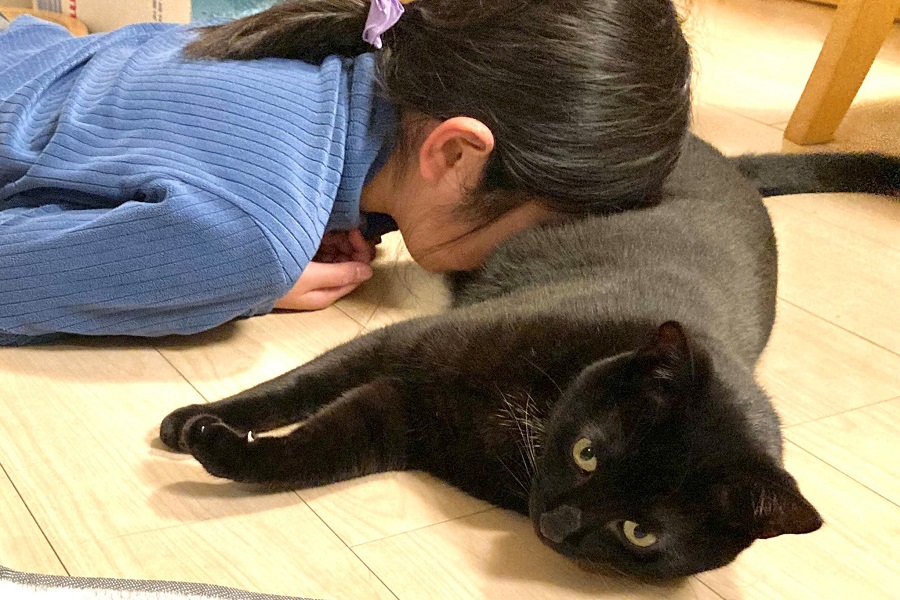 猫を吸いたい 漫画】「隙あらば吸いたい！」チャンス到来と思いきや至福の猫吸い