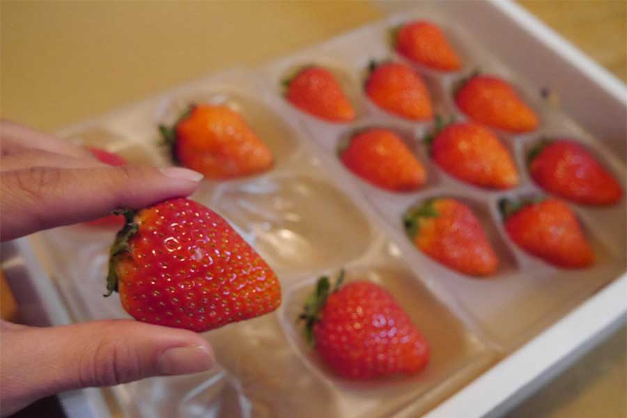 渡辺さんが今年収穫することができたイチゴ。食べた客側が金額を決めて支払うシステムで配送することに【写真提供：渡辺葉月】