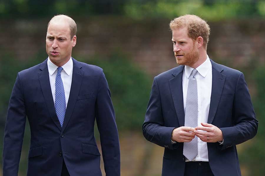 ウイリアム王子とヘンリー王子【写真：AP】