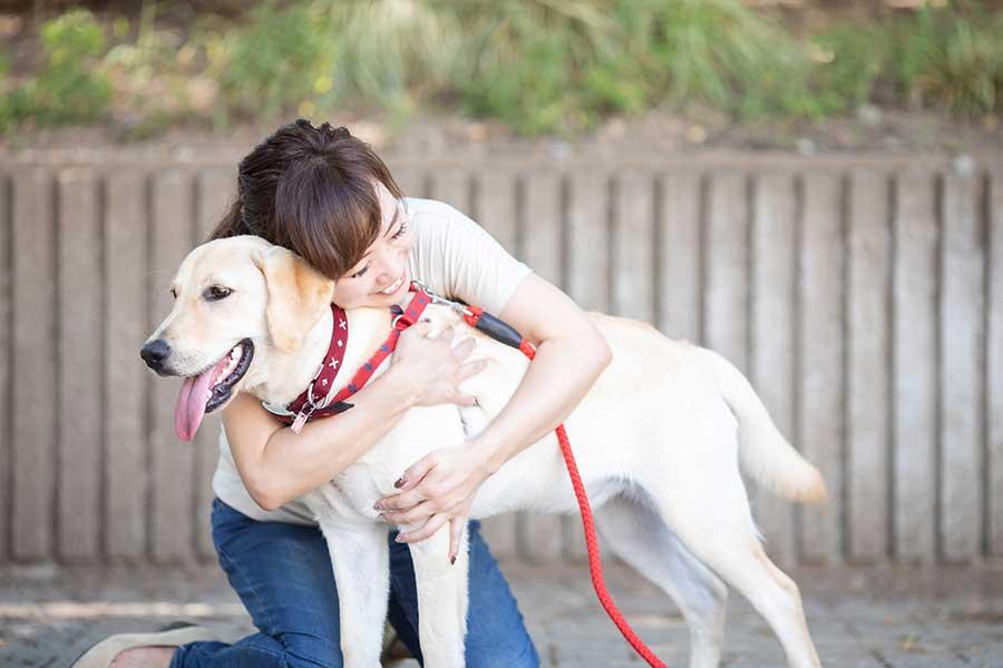 失踪した愛犬と8年ぶりの再会（写真はイメージ）【写真：写真AC】