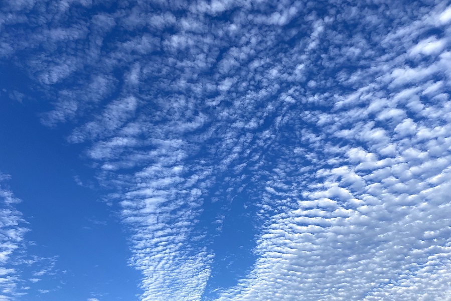 秋の雲（写真はイメージ）【写真：写真AC】