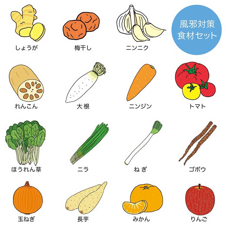 風邪が気になる時に摂取したい野菜果物一覧【画像：イラストAC】