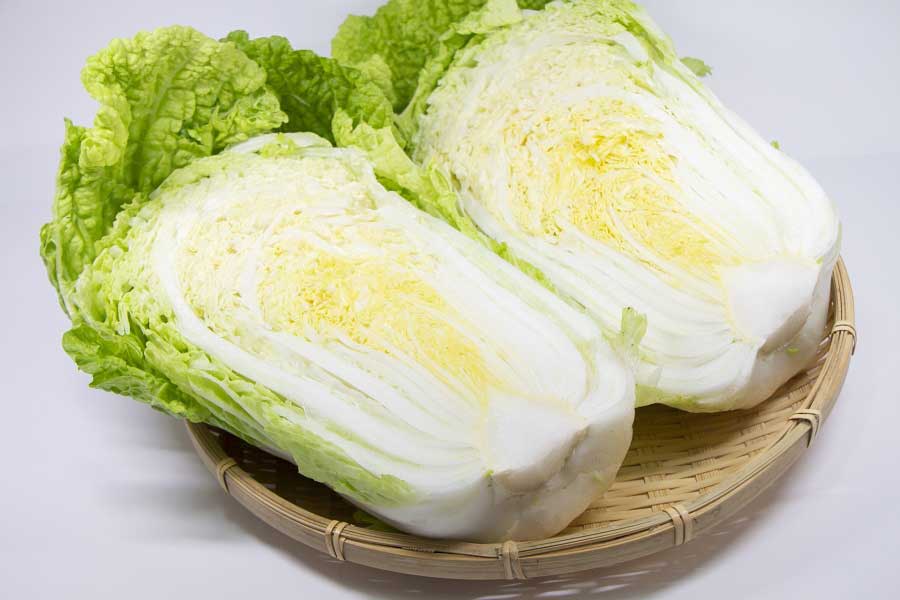今がおいしい白菜（写真はイメージ）【写真：写真AC】