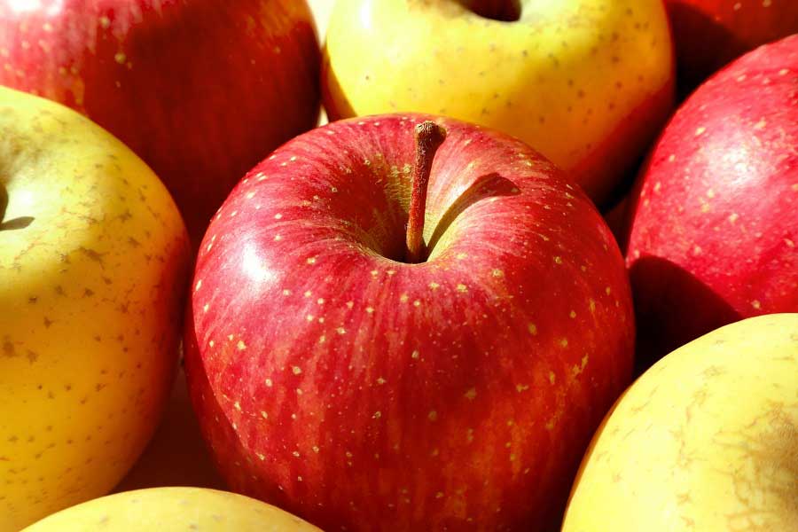 種類豊富なリンゴ（写真はイメージ）【写真：写真AC】