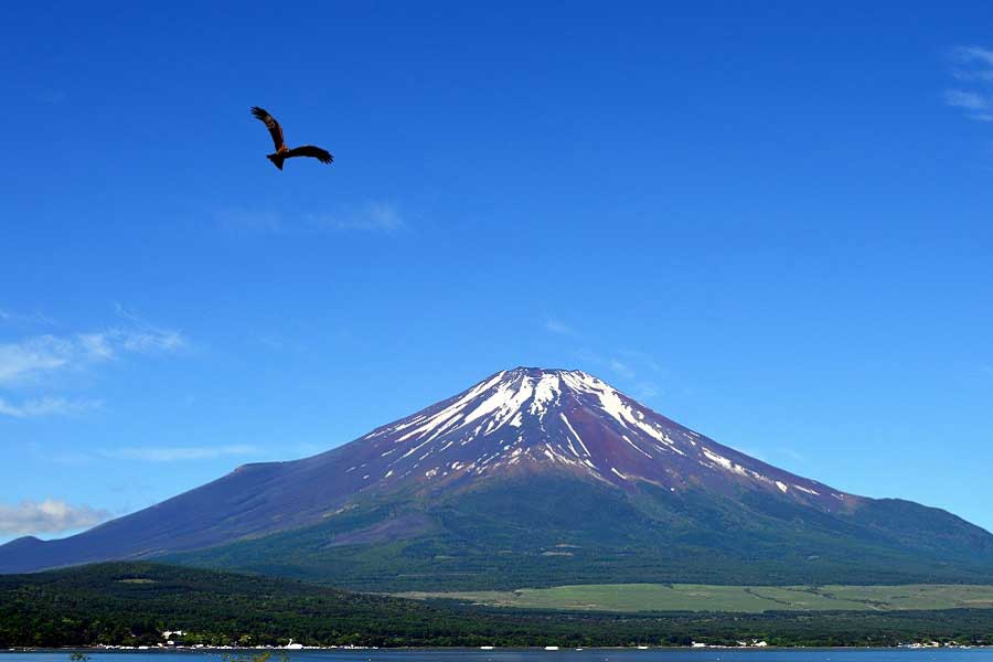 縁起物の象徴「富士山」（写真はイメージ）【写真：写真AC】
