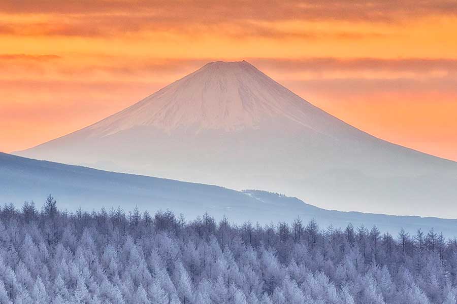 朝焼けの富士山と霧氷 奇跡の一枚に大反響 「合成かと思った」 | Hint