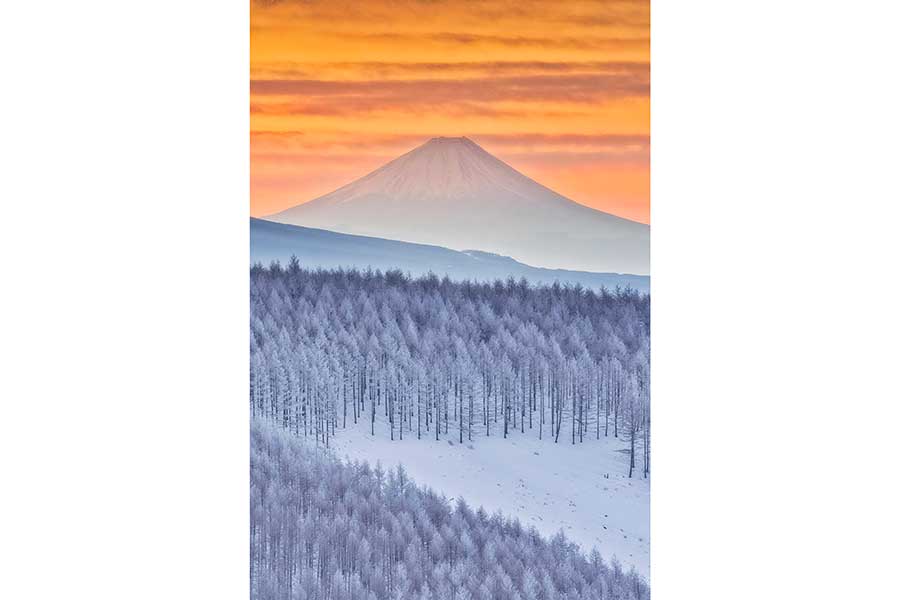 まさに新年を迎えるにぴったりの朝焼けが美しい富士山と霧氷【写真提供：AyuMi（@a_yumi0425）さん】