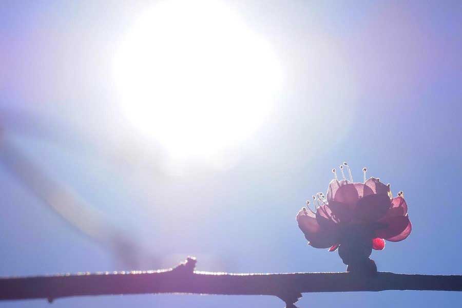 太陽の動きを季節の目安に（写真はイメージ）【写真：写真AC】