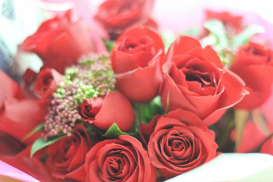 「愛」を伝える赤いバラ（写真はイメージ）【写真：写真AC】