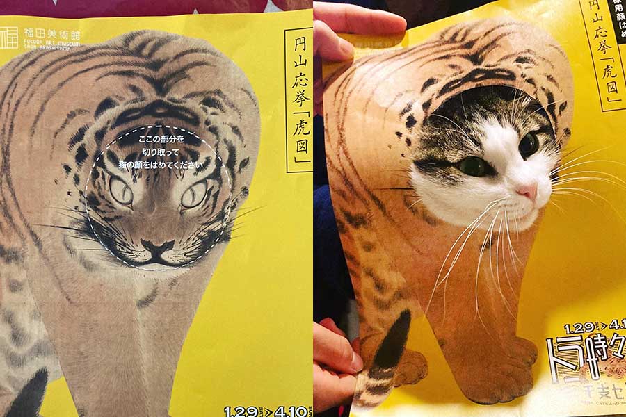 ネコ科のトラの絵と愛猫が一体化。「考えた人天才」と話題になった福田美術館の企画展用チラシ【写真提供：SEO YOKO（@xggPNNfk33O2sq7）さん】