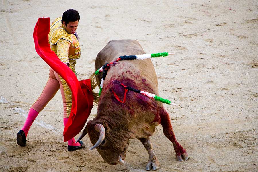 突進してくる牛を華麗に交わしていく闘牛士【写真：Getty Images】
