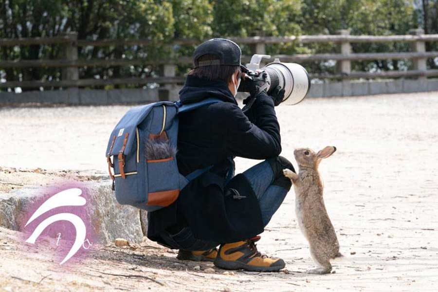 撮影中もウサギにちょっかいを出されるのだとか【写真提供：うさぎ写真家 uta（@utajima）さん】