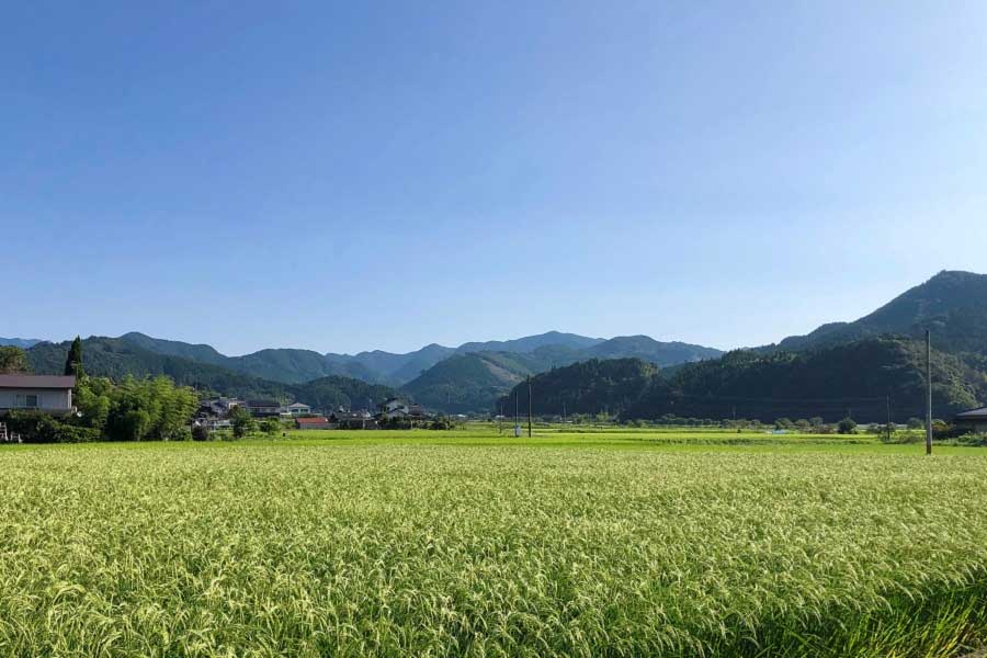 井上さんが改めて気付いた美しい故郷の景色【写真提供：井上百合】