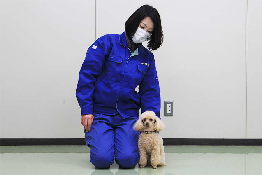 特別防犯対策犬に任命された、トイプードルのハンナちゃんと指導者【写真提供：岡山県警】