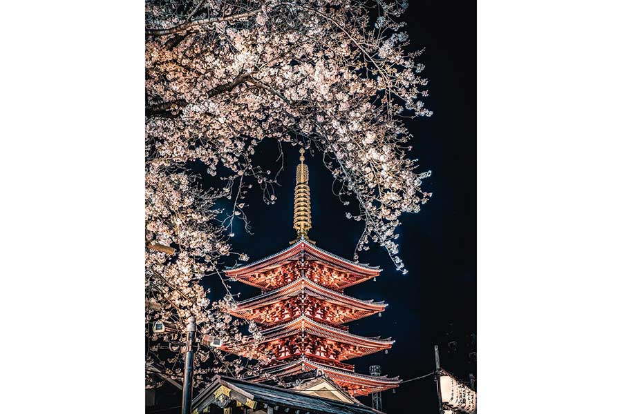 浅草五重塔としだれ桜の構図も実に美しい【写真提供：mame（@daizphoto）さん】