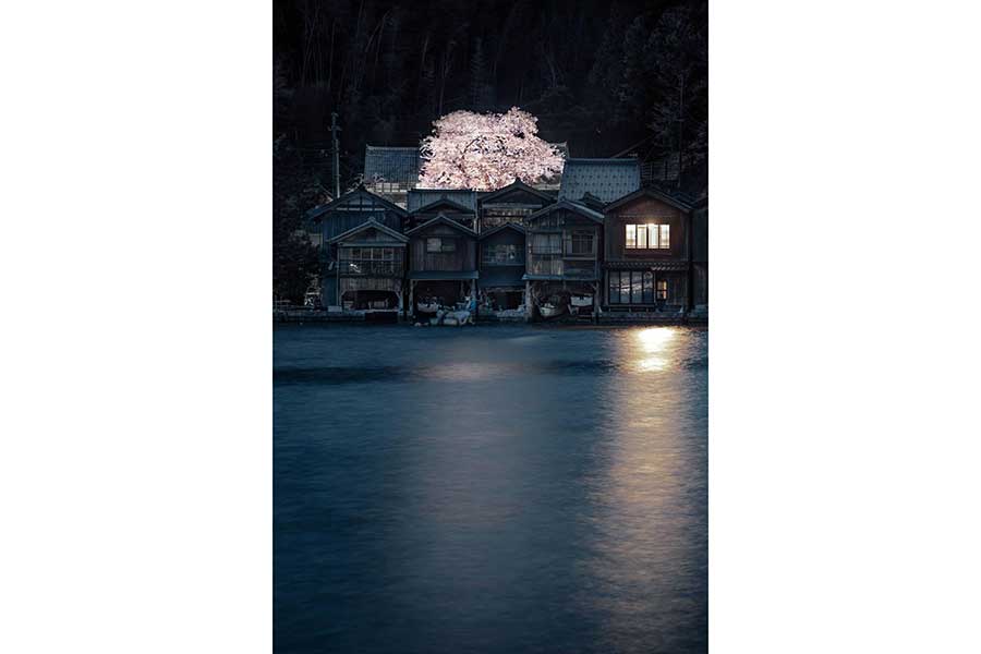 舟屋に浮かび上がった幻想的な桜【写真提供：Ryogo Urata（@Ryogo_Urata）さん】