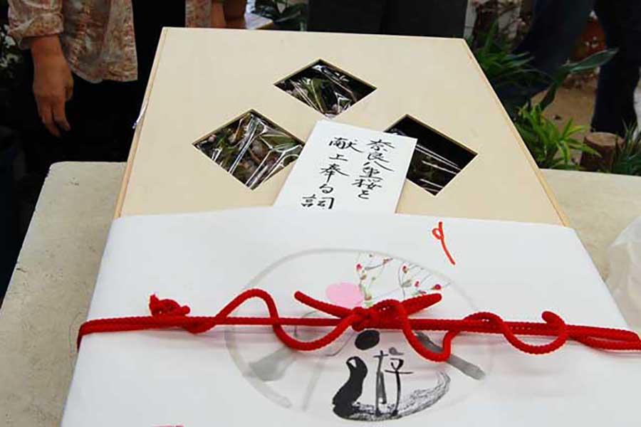 【写真提供：奈良八重桜の会】