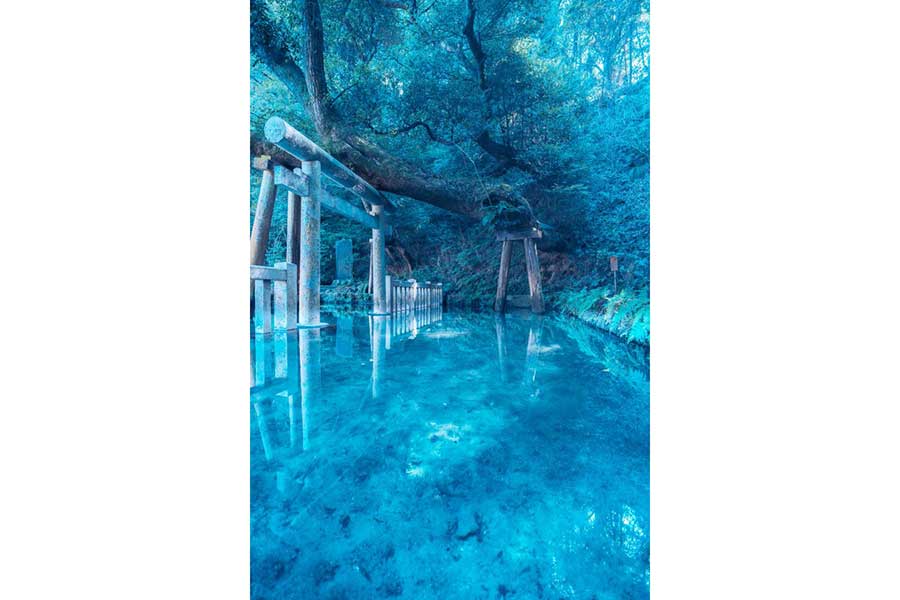 茨城県の「とある神社」で撮影した「神秘的な異次元空間」【写真提供：ポムの蒼。（ポムノアオ）（@pomu_iyashi）さん】