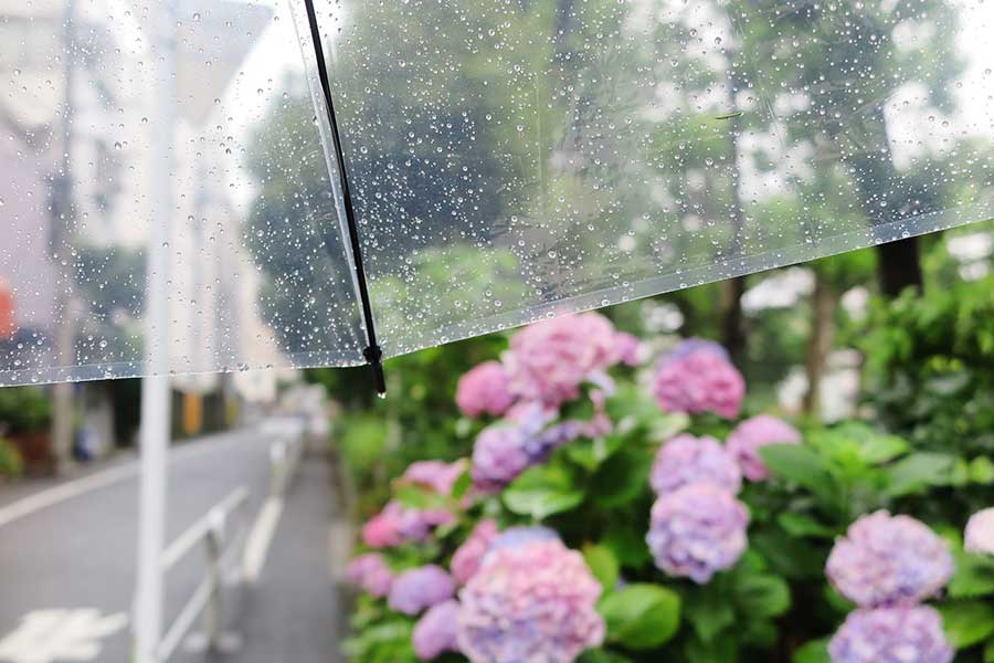 梅雨時期は湿気やカビに注意したい（写真はイメージ）【写真：写真AC】