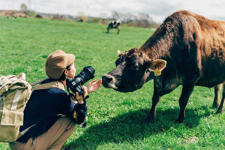 自分も牛になった気持ちで、話しかけながら撮影するという瀧見さん【写真提供：瀧見明花里】
