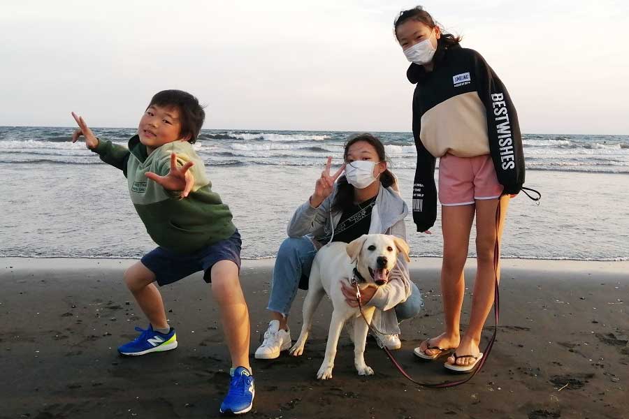 ジェニーを入れた“四姉弟”で初めて訪れた江の島の海をバックに記念撮影【写真提供：日本盲導犬協会】