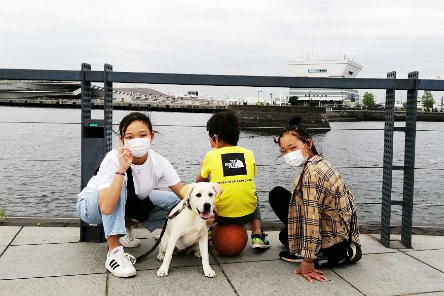 山下公園で古澤家の“四姉弟”【写真提供：日本盲導犬協会】