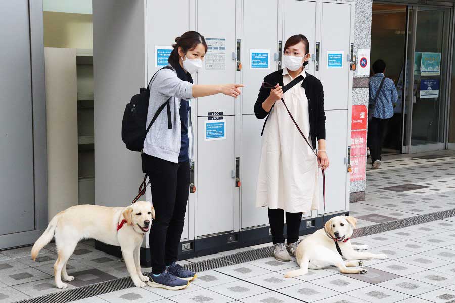 Mr. Furusawa and Jenny (right) receiving an explanation from Mr. Motooka, a staff member of the Japan Guide Dog Association[Photo: Hint-Pot editorial department]