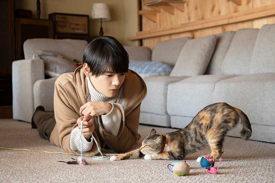 主人公・二星優斗を演じた古川雄輝さんには、猫のことなどいろいろなことを教わったという（c）2022「ねこ物件」製作委員会