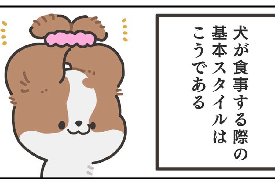 漫画のワンシーン。食事時におみみが邪魔になってしまう犬ちゃんの基本スタイル【画像提供：ヤシン（@Y_ashi_n）さん】