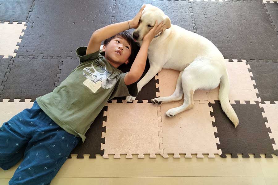 長男の湊人くんと家の中で遊ぶジェニー【写真提供：日本盲導犬協会】