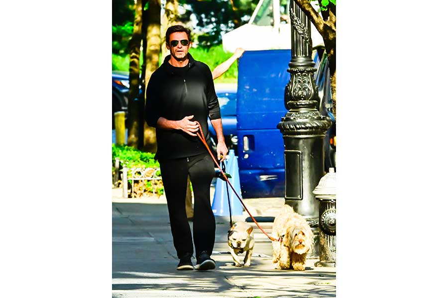 愛犬たちを散歩させる姿も頻繁に目撃されている。左がダリくん、右がアレグラちゃん【写真：Getty Images】