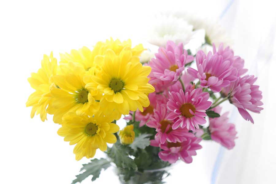 白や黄、紫の花（写真はイメージ）【写真：写真AC】