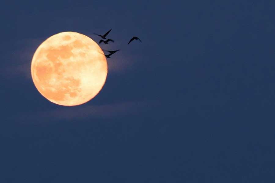 中秋の名月（写真はイメージ）【写真：写真AC】
