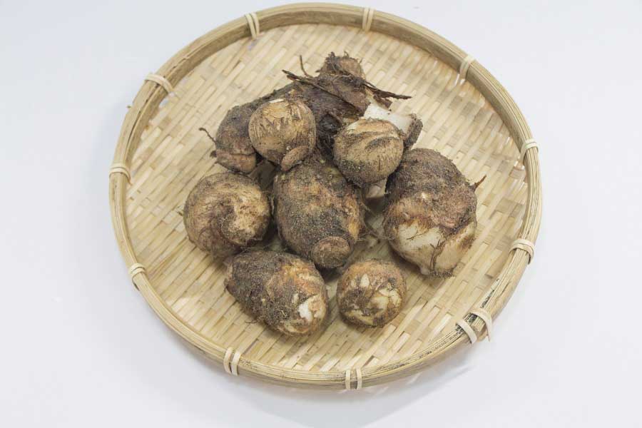 秋においしい里芋（写真はイメージ）【写真：写真AC】