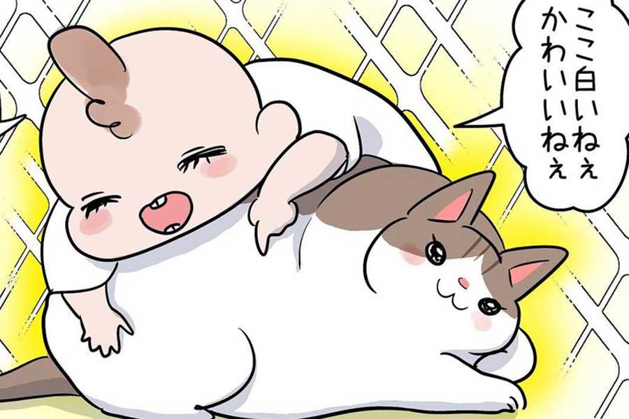 漫画のワンシーン【画像提供：こばん　猫育児（kumagoma0731）さん】