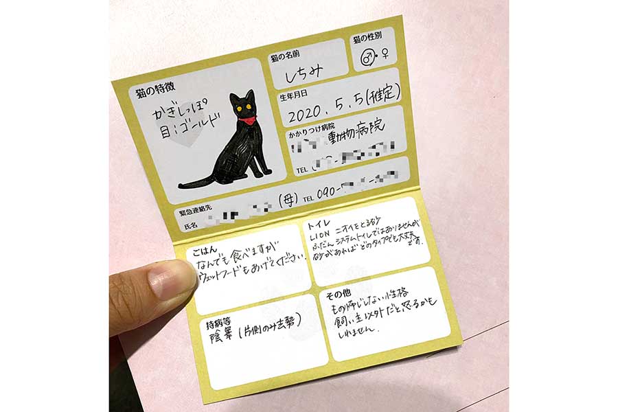 しちみくんの情報が記された「緊急情報カード」【写真提供：ちみちゃんの飼い主（@chimichimicat）さん】