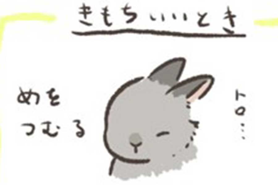 ウサギとの接し方をまとめたイラストが話題に【画像提供：子蓉（@submarine_shiyo）さん】
