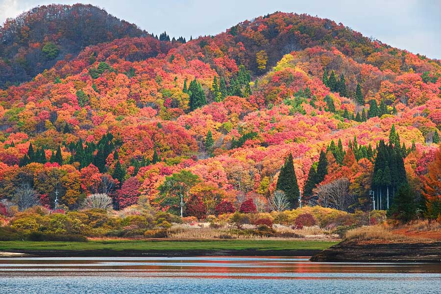紅葉で色付く山（写真はイメージ）【写真：写真AC】