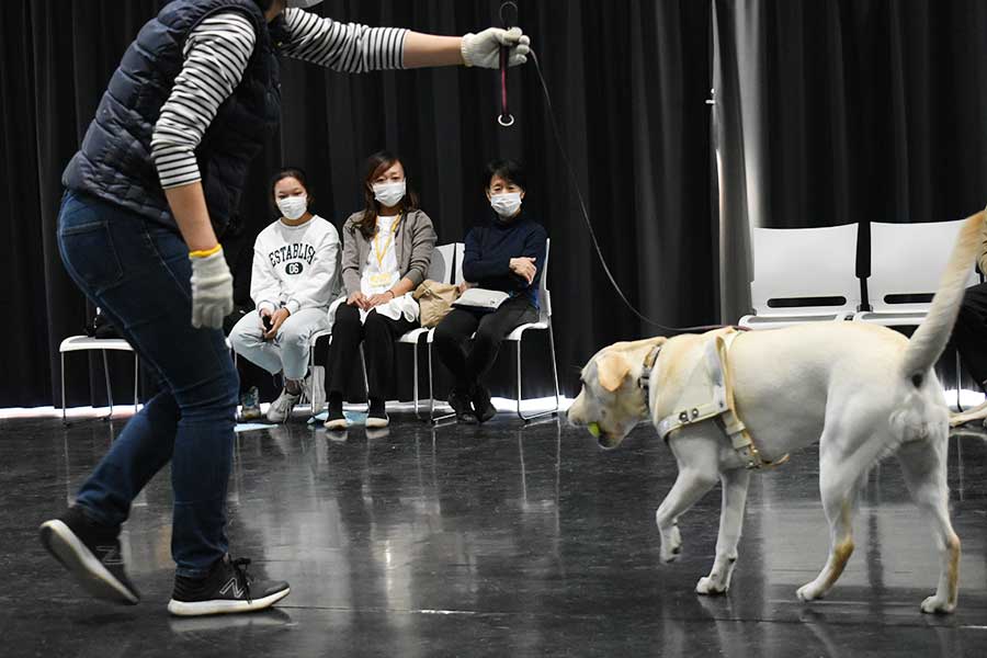 レクチャーを受けるジェニーと見守る古澤さん一家【写真提供：日本盲導犬協会】