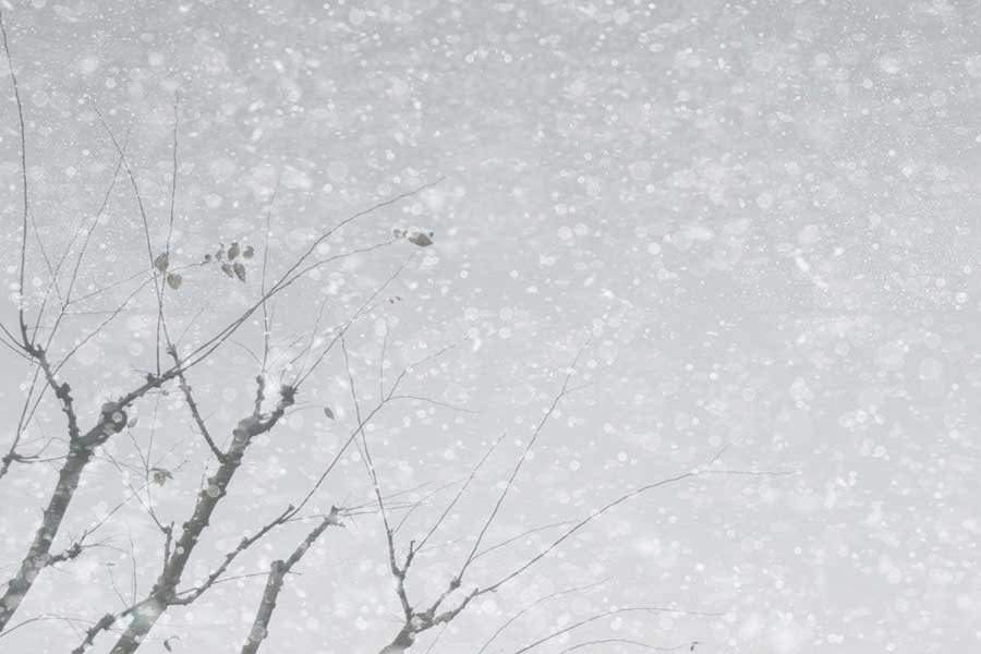二十四節気の大雪。いよいよ冬本番（写真はイメージ）【写真：写真AC】