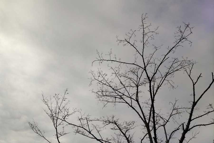 重たい雲に覆われた冬の空（写真はイメージ）【写真：写真AC】
