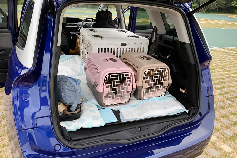 車に犬を乗せる場合は、ケージやドライブシートなどを適切に使用し、車を離れる際は置いていかないように（写真はイメージ）【写真：写真AC】