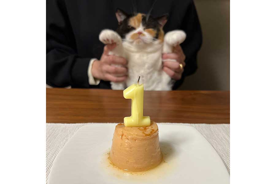 おめでとう！　チューブ型おやつ製の誕生日ケーキ【写真提供：おあげ（@oage_cat）さん】