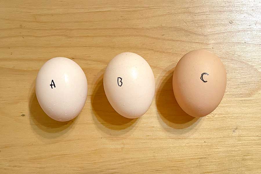 同じような大きさの卵を選び検証スタート【写真：Hint-Pot編集部】