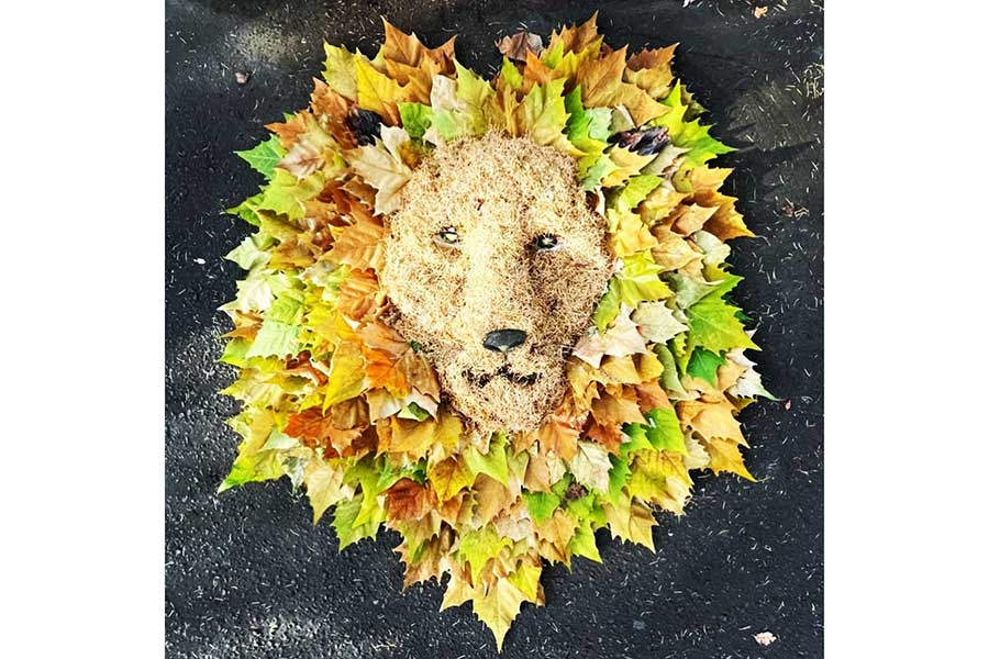 落ち葉のアート作品。カラフルで美しいライオン【写真提供：田中宏美（tana163）さん】