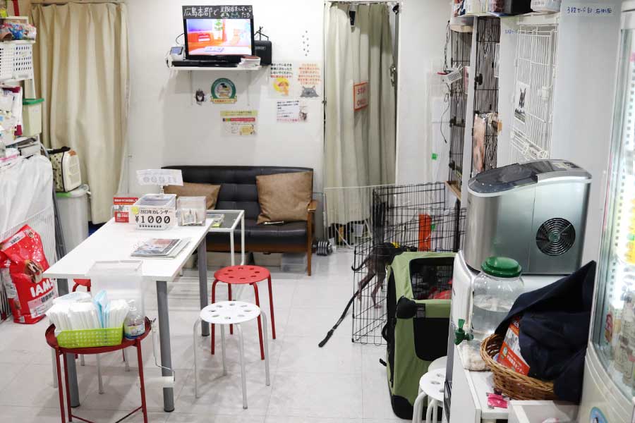東京支部は保護犬・猫カフェスタイルで運営【写真提供：NPO法人「みなしご救援隊 犬猫譲渡センター」】