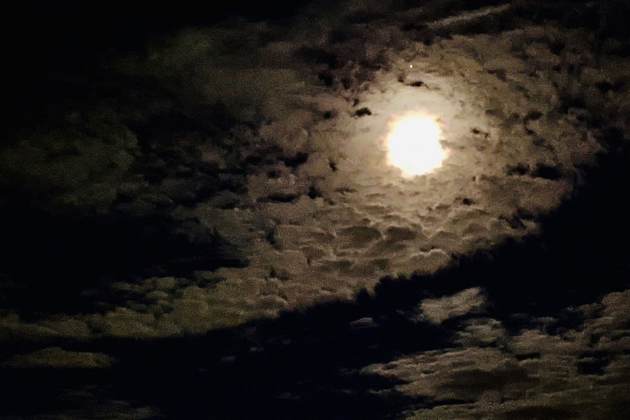 おぼろ月夜（写真はイメージ）【写真：写真AC】